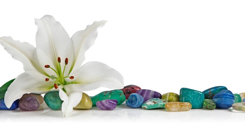 White Lily and healing Crystal - a solitary lily place on top of a row of multicolored tumbled healing stones on a white background