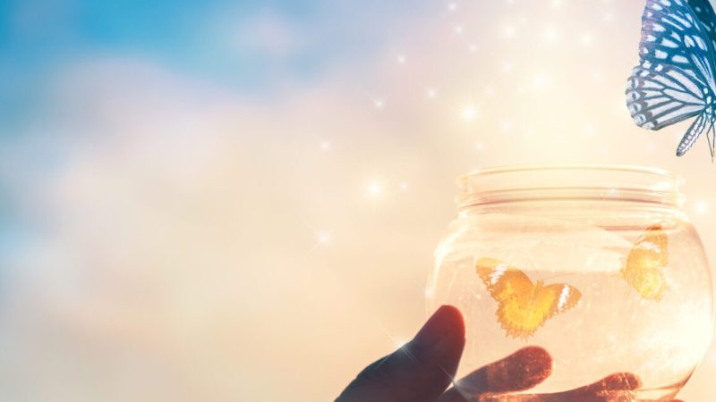 The girl frees the butterfly from the jar, golden blue moment Concept of freedom