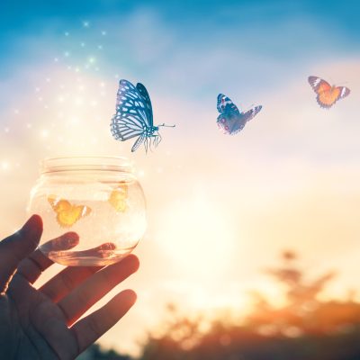 The girl frees the butterfly from the jar, golden blue moment Concept of freedom