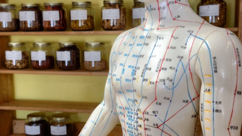 bekaschiller-acupuncture-2308489