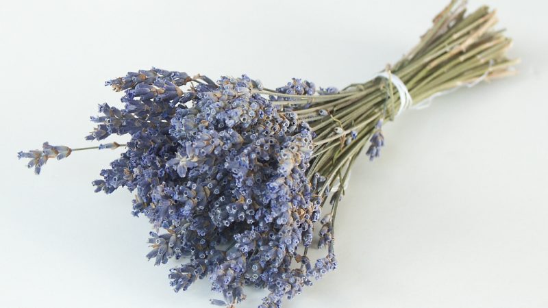 lavender-bouquet-1506083